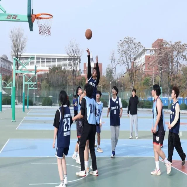深度解读体育赛事动态与热门赛事资讯